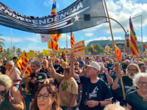 Read more about the article Valls i l’Alt Camp, presents a la massiva manifestació de la Diada